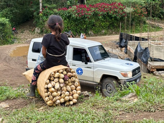 Foto de Irene Trabalzini en Guatemala. Foto de Irene Trabalzini en Guatemala.